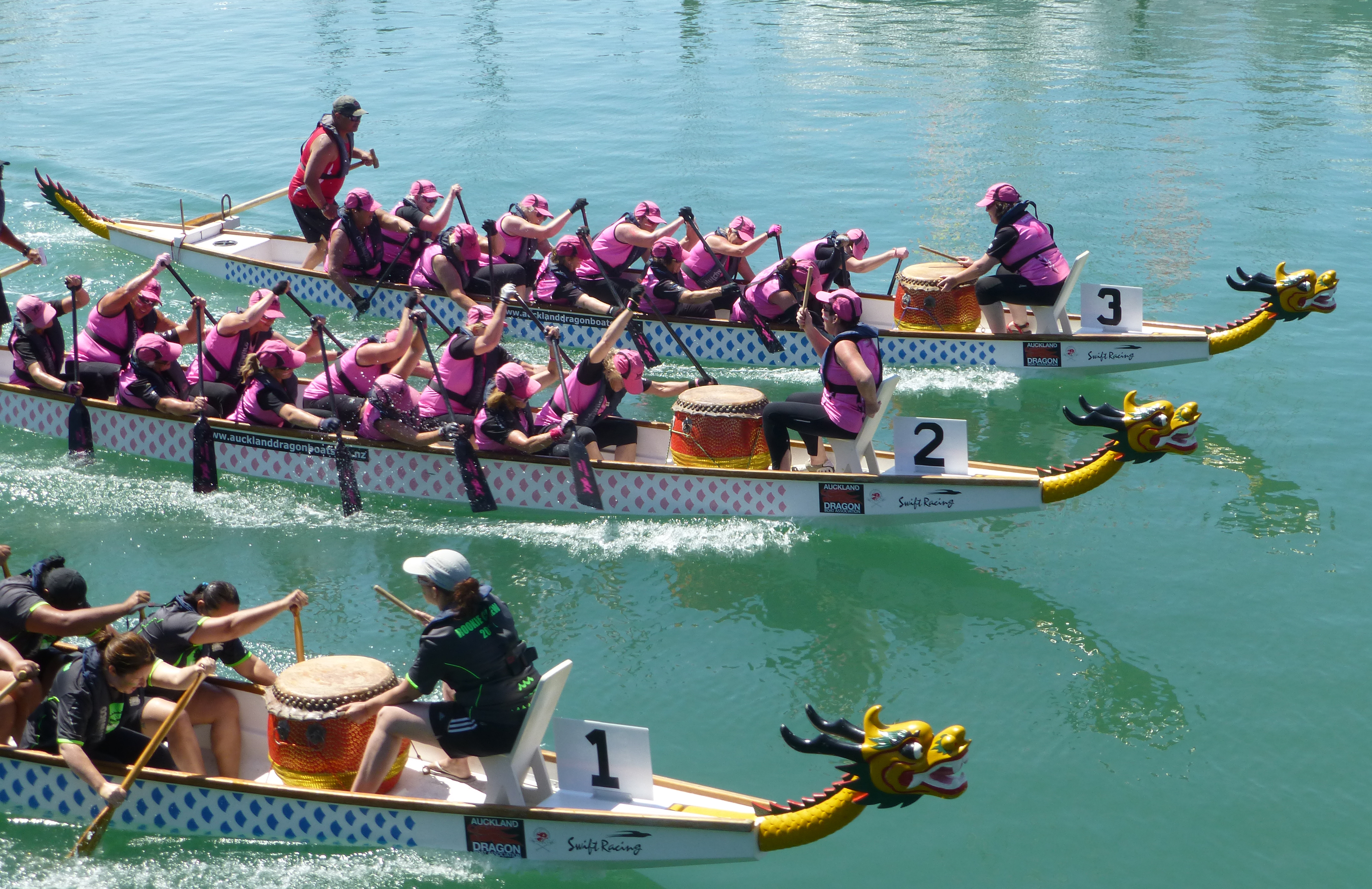 breast cancer survivor team Pink Dragons dragon boat racing